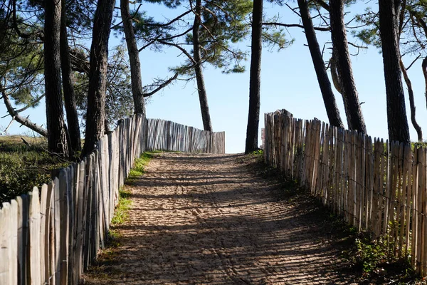 Pad Houten Hek Toegang Paradijs Zomer Strand Zonnige Dag — Stockfoto