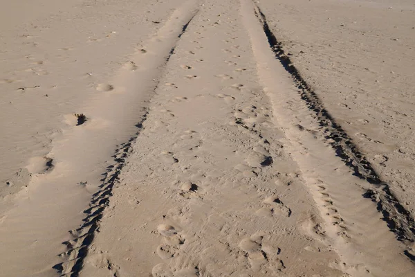 Stopa Pneumatik Písku Pláži Otisky Pneumatik Písečném Pouštním Pozadí — Stock fotografie