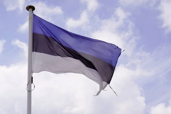 爱沙尼亚国旗爱沙尼亚国旗在蓝天的风垫上的国家国旗 — 图库照片