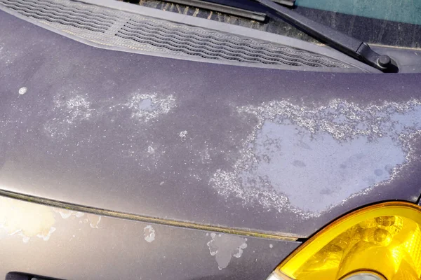 Car Used Peeling Grey Silver Paint Grunge Hood Old Automobile — 스톡 사진