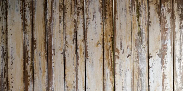 Wood Texture White Big Weathered Wooden Background Plank — Stock Photo, Image