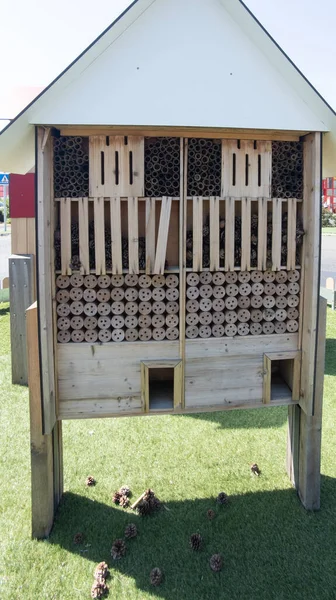 bug hotel insect house wooden give protection and nesting aid to bees and other insects in natural park forest