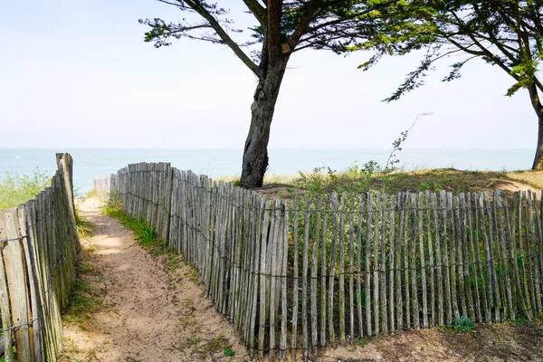有沙滩入口的木制小径海滨通道进入法国奥伦岛的海洋大西洋 — 图库照片