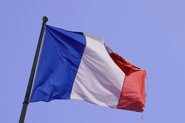 Французские Триколоры Синий Белый Красный Флаг Размахивая Передней Коврик Голубое — стоковое фото