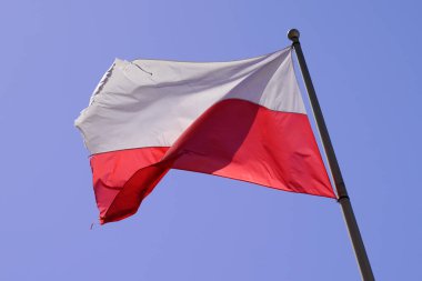 Polonya, mavi gökyüzünde kırmızı beyaz dalgayı parlattı