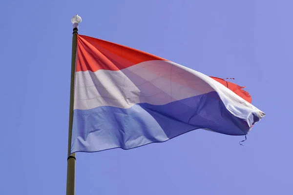 Flaga Holandii Pływa Błękitnym Niebie — Zdjęcie stockowe