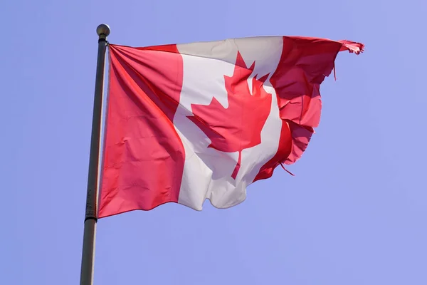 Canada State Red Flag Mat Wave Blue Sky — Stock Photo, Image