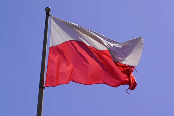 Poland Polska Flaga Mata Fala Nad Błękitnym Niebem — Zdjęcie stockowe