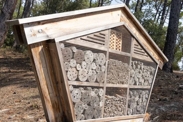 large bug hotel insect house wooden hut gives protection and nest aid to bees and insects in big cabin