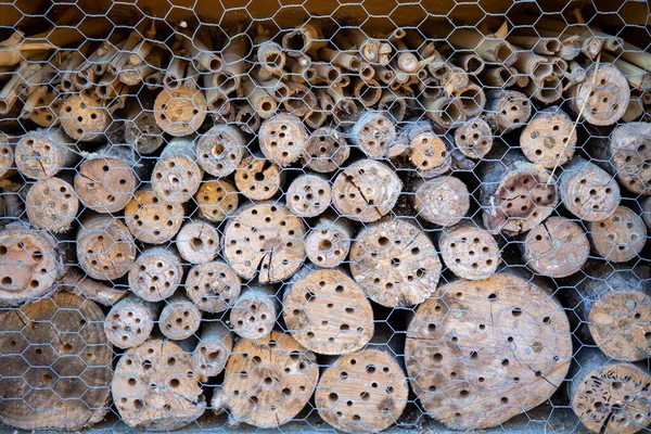 bug hotel insect overlapping perforated wooden tree branches house hut gives protection and nest aid to bees and insects in cabin