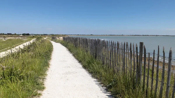 Ścieżka Przybrzeżna Ścieżka Dostępu Piaszczystej Plaży Wybrzeżu Atlantyku Rochelle Francji — Zdjęcie stockowe