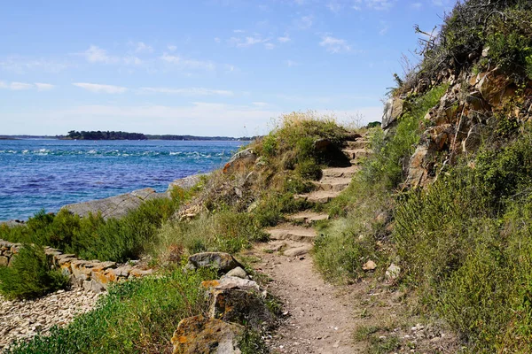 Camino Escaleras Caminar Largo Costa Brittany Atlántico Acceso Playa Camino — Foto de Stock