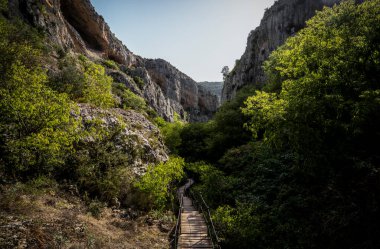 Dağlar arasında tahta bir yol boyunca yürüyorum.