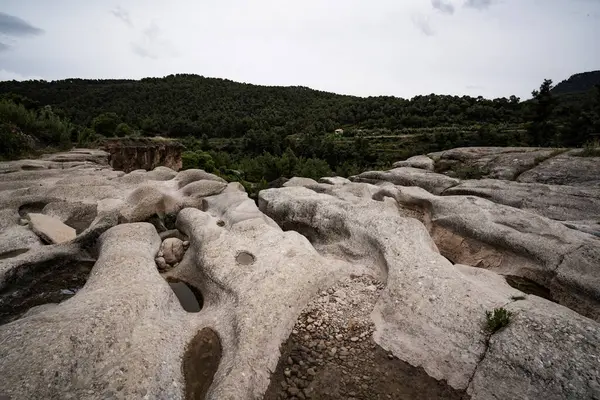 Ландшафт Белых Камней Странными Формами Природе — стоковое фото