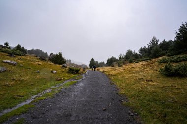 Yağmurlu bir günde, uzaklardan iki kişi dağ yolunda yürüyor.