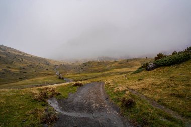 Sonbahar yağmuruyla birlikte dağdaki sise giden yol.
