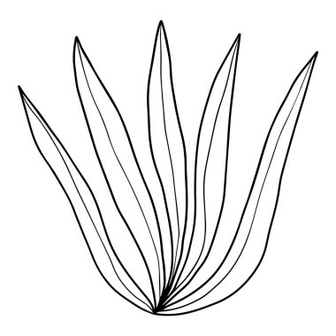 Renkli karalama çizgi film çalısı, beyaz arka planda izole edilmiş çiçek. Sulu bitki..  