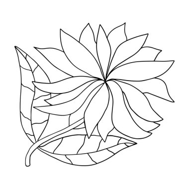 Beyaz arkaplanda yaprakları olan renkli karikatür karikatür karikatürü. Yetişkinler için boyama kitabı için temel öğe.