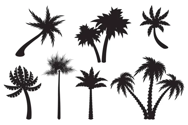 Roztomilé Kreslené Palmy Nastavit Siluety Izolované Bílém Pozadí Exotické Stromy — Stockový vektor