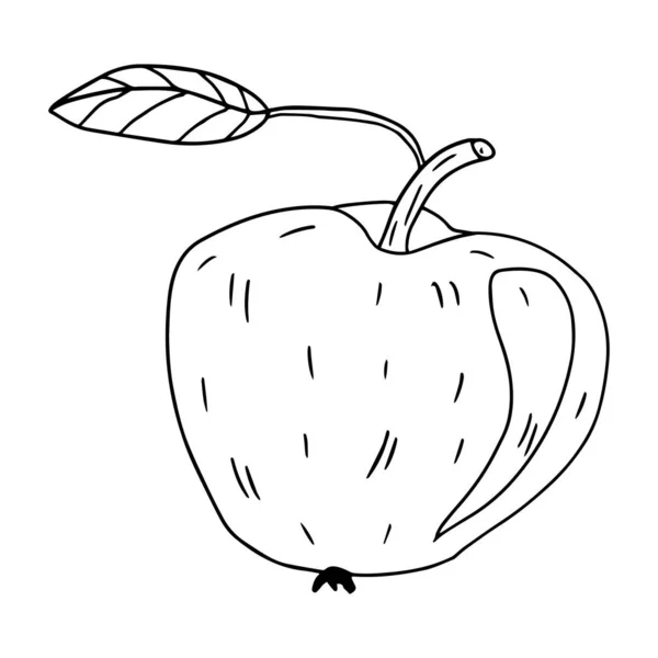 Netter Cartoon Handgezeichneter Doodle Apfel Mit Blatt — Stockvektor