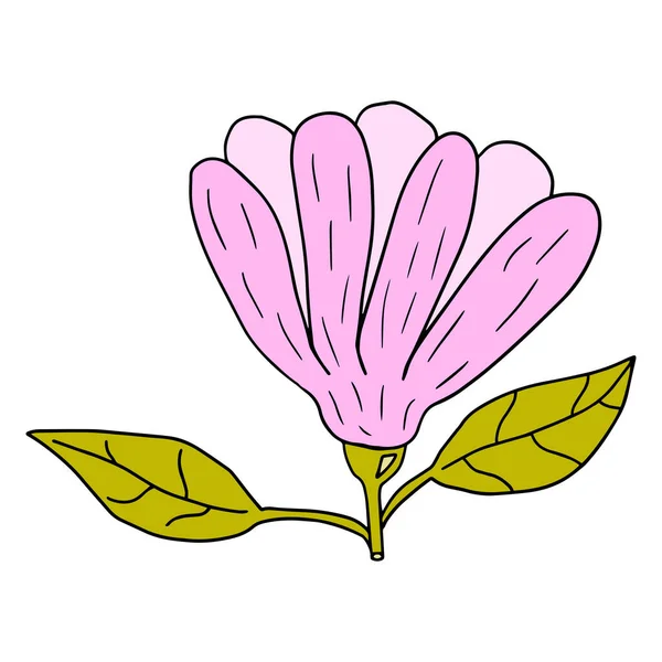 卡通涂鸦花 叶子与白色背景隔离 — 图库矢量图片