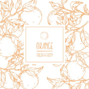 El çizimi turuncu vektör resmi. Yaz meyvesi oymalı tasvir. Vejetaryen tatlı taze yemek, limonata. Etiket ve yazdırma için Citrus tasarımı