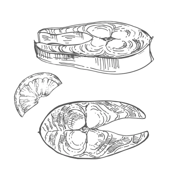 Vetor desenhado à mão ilustração de bife de peixe fresco —  Vetores de Stock