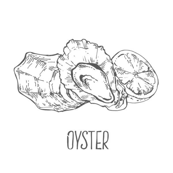 Ręcznie rysowane wektor świeże ostrygi morze ilustracja — Wektor stockowy