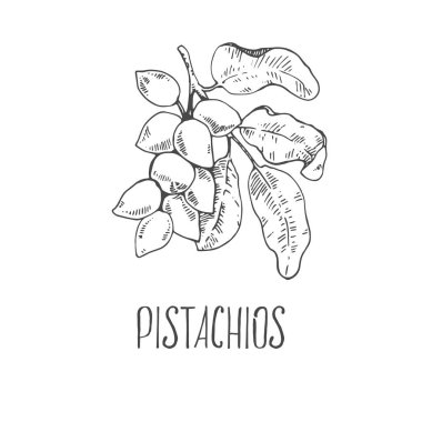 El yapımı fıstık çekirdekleri, kabuk.