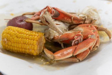 Kaynamış Dungeness yengeç bacağı kabuğun içindeki eti kırma ve yeme görevine hazır..