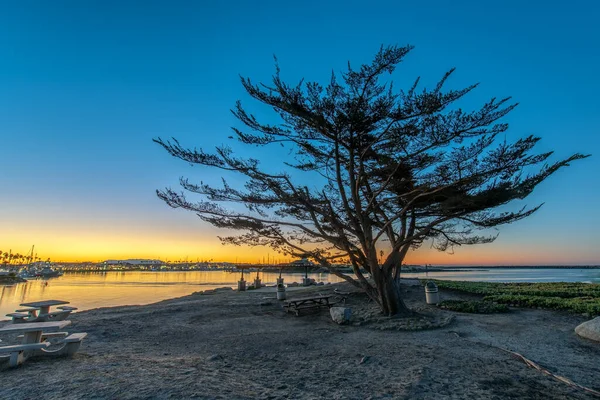 Piknik Oblasti Ventura Marina Park Nádherným Výhledem Zimní Východ Slunce — Stock fotografie