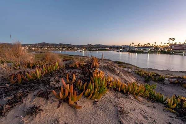 Ice Plant Vegetation Grows Atop Sand Dunes Surrounding Ventura Marina — Stock Photo, Image