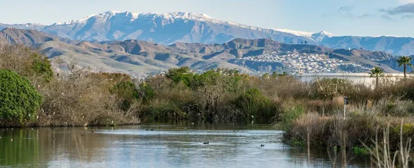 Snow Covered Topatopa Mountain Distance Local Hills Estuary Pond Foreground — стоковое фото