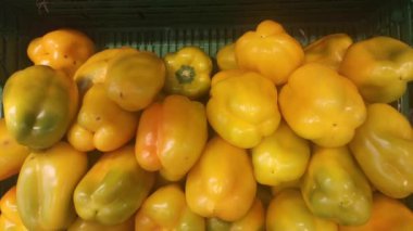 Piyasada taze kırmızı dolma biber