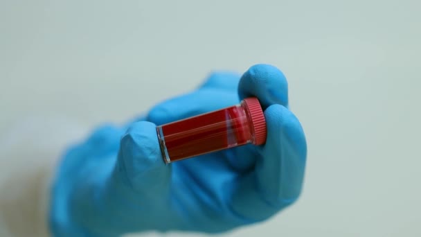Los médicos sostienen el tubo de prueba con la muestra de sangre para su análisis. Análisis de sangre Concepto. tubo con sangre para el análisis de covid-19. — Vídeos de Stock