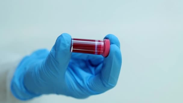 I medici tengono in mano la provetta con il campione di sangue per il test. analisi del sangue Concetto. tubo con sangue per analisi covid-19. — Video Stock