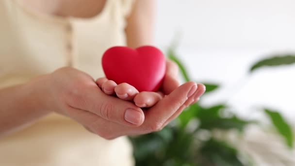 Las mujeres sostienen el corazón. Día de San Valentín. Corazón sano, amor y caridad, trabajo social voluntario, día de la madre, amor — Vídeo de stock