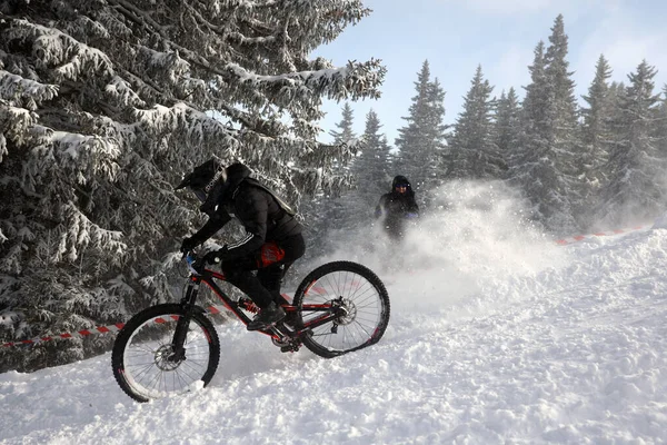 Sofia Bulgaria January 2022 Cyclist Rides Bike Downhill Extreme Snow — Stok fotoğraf