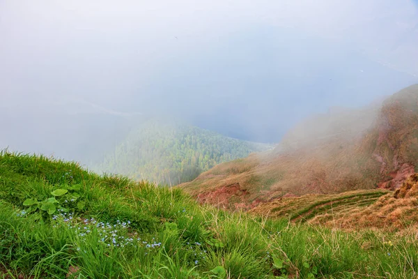 Morning fog on top of Rigi mountain, morning atmosphere in clouds. In the foreground, two slopes are in focus: covered with green grass and orange stone. Background in wet fog