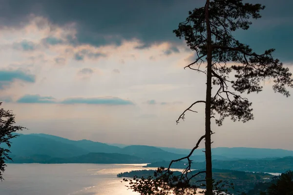 The Rigi 'deki Lucerne Gölü' nün panoramik görüntüsü gün batımında Alpler 'in bir dağ yığınıdır. Ön planda kozalaklı bir ağacın silueti var.