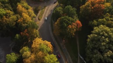 Sonbahar ağaçları arasındaki şehir yolunun havadan görünüşü