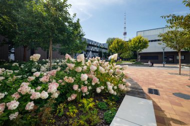 Kyiv, Ukrayna - 20 Ağustos 2021: Birim Şehri 'nin yenilik bölgesinin modern binaları