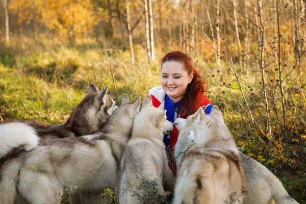 Hodowca Psów Jej Husky Psów Jesiennym Lesie — Zdjęcie stockowe