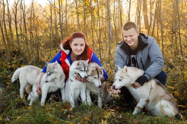 秋の森の中に犬を飼っている若いカップル — ストック写真