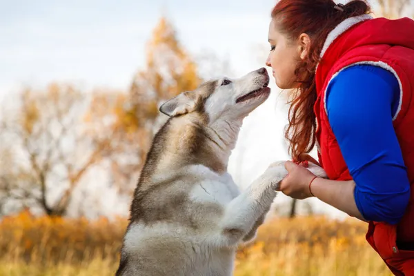 犬飼育員さんは秋の森の中で犬と話しています — ストック写真