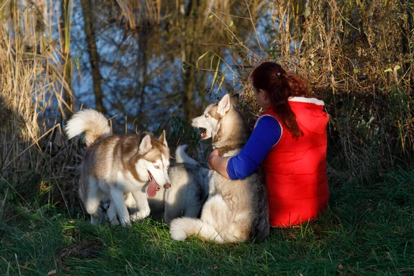 犬の飼育員は湖の海岸で犬と抱き合っている — ストック写真