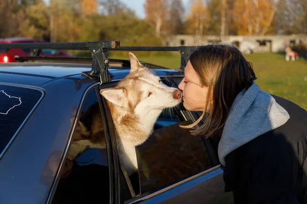 Jeune Fille Embrasse Chien Husky Qui Regarde Par Fenêtre Voiture — Photo