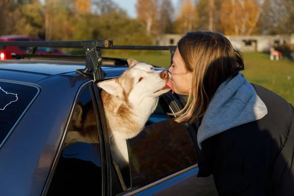 Jeune Fille Embrasse Chien Husky Qui Regarde Par Fenêtre Voiture — Photo