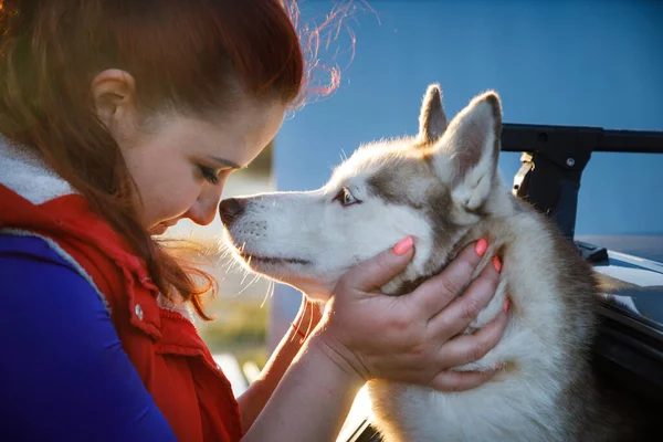Criador Perros Está Abrazando Con Sus Perros Husky Aire Libre — Foto de Stock