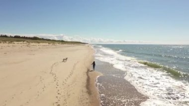 Genç bir kız köpeğiyle kumsalda koşuyor.